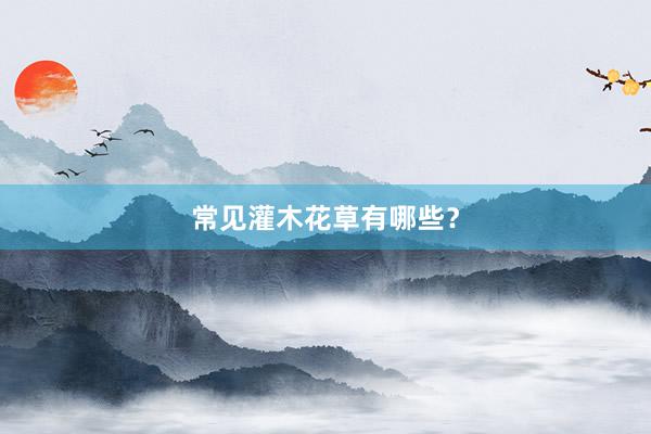 常见灌木花草有哪些？